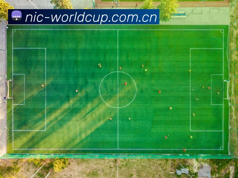 2026世界杯 APP 界面演示